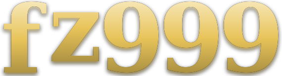 fz999 logo